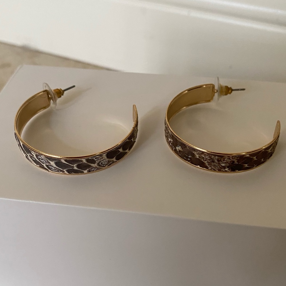 Francesca’s earrings